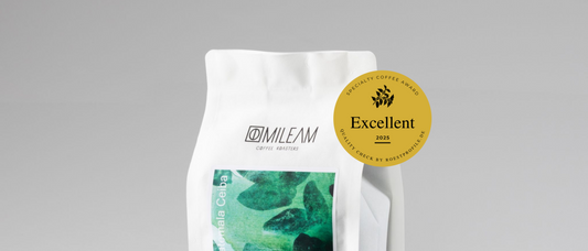 Guatemala Ceiba Espresso – jetzt offiziell „Excellent“!