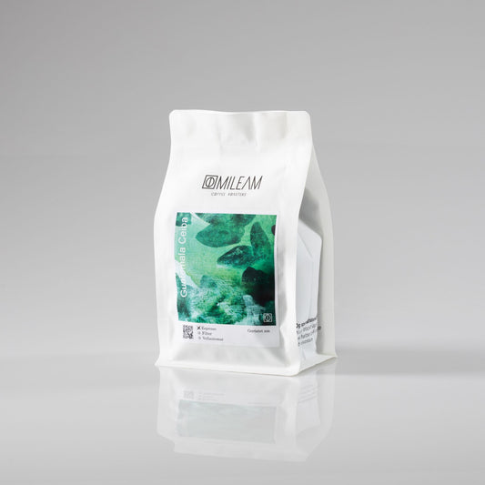 GUATEMALA CEIBA